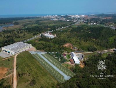Terreno para Venda, em Barra Velha, bairro Sert�ozinho